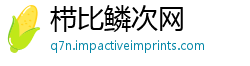 栉比鳞次网